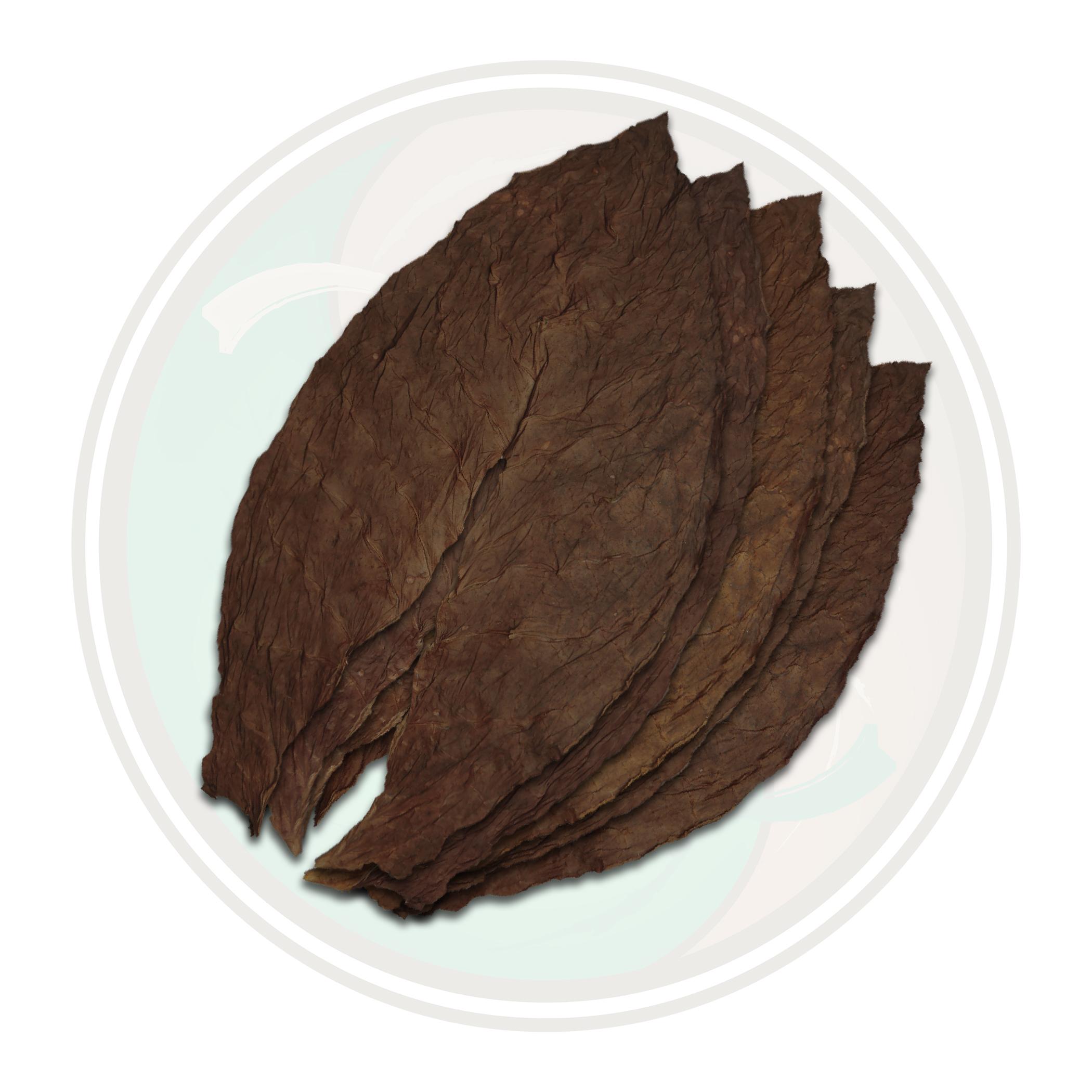 Dominican Ligero Piloto Cubano Seco Cigar Filler Whole Tobacco Leaf